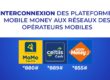 Image Interconnexion des plateformes Mobile Money aux réseaux des opérateurs mobiles
